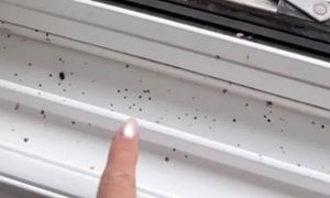 Widzisz takie zabrudzenia na oknie? Pozbądź się ich natychmiast