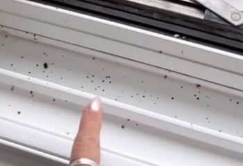 Widzisz takie kropki na oknie? Od razu zareaguj