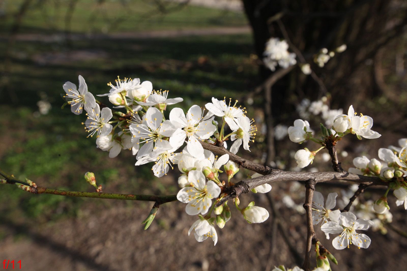 Tamron 15-30 mm f/2.8 – superszeroko i ze stabilizacją [test] 18