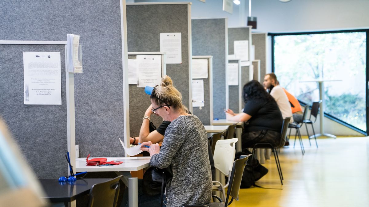 urząd praca urzędnik bezrobotni bezrobocie urząd pracy pośredniak