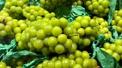 Te winogrona nie tylko pachną intensywniej. Mają też właściwości, których brakuje innym odmianom