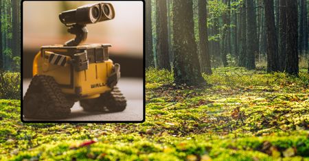 Rewolucyjny polski robot będzie zbierał kleszcze. To nie wszystko
