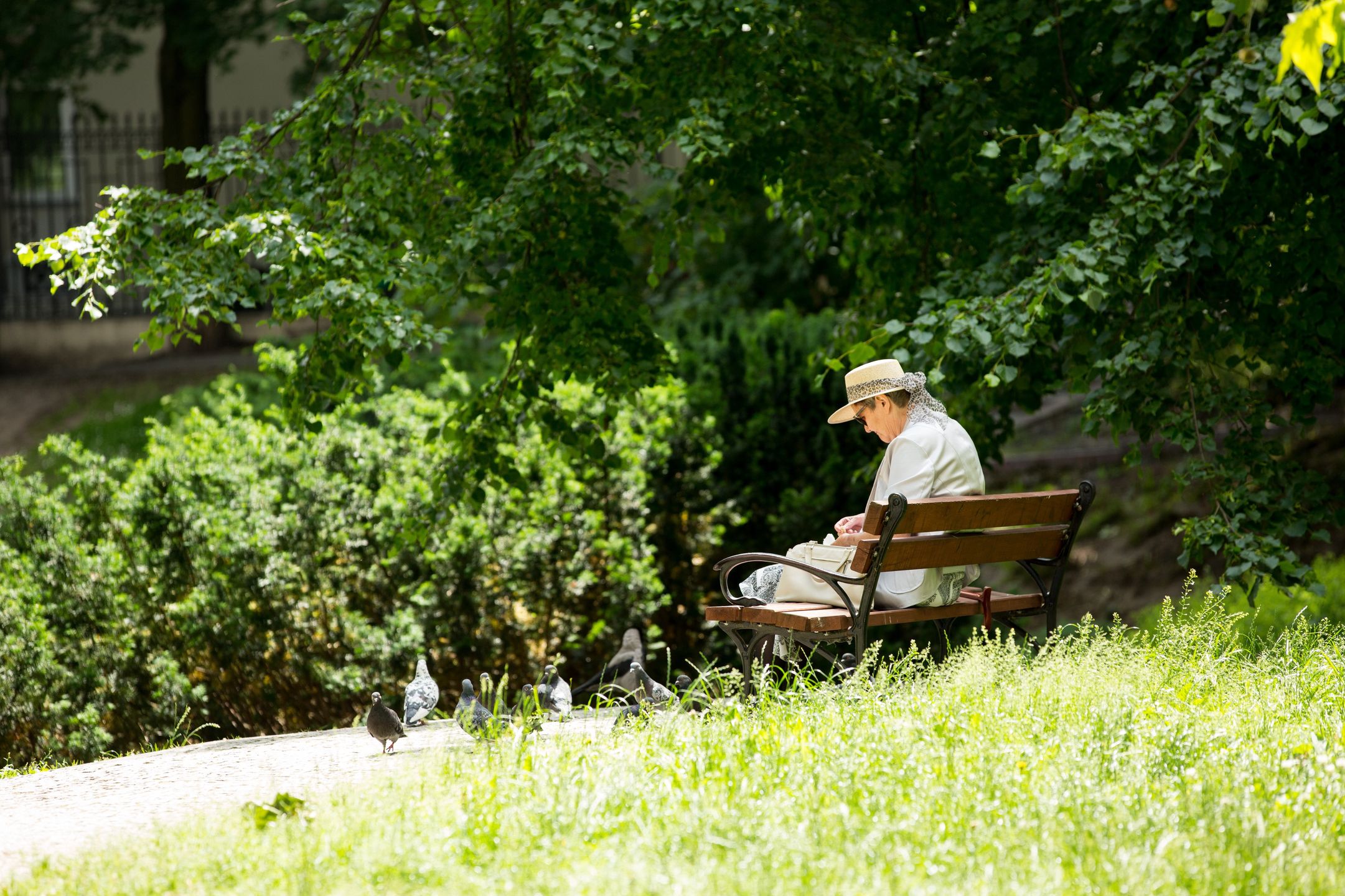 emerytura emeryt emerytka park odpoczynek senior seniorka ławka