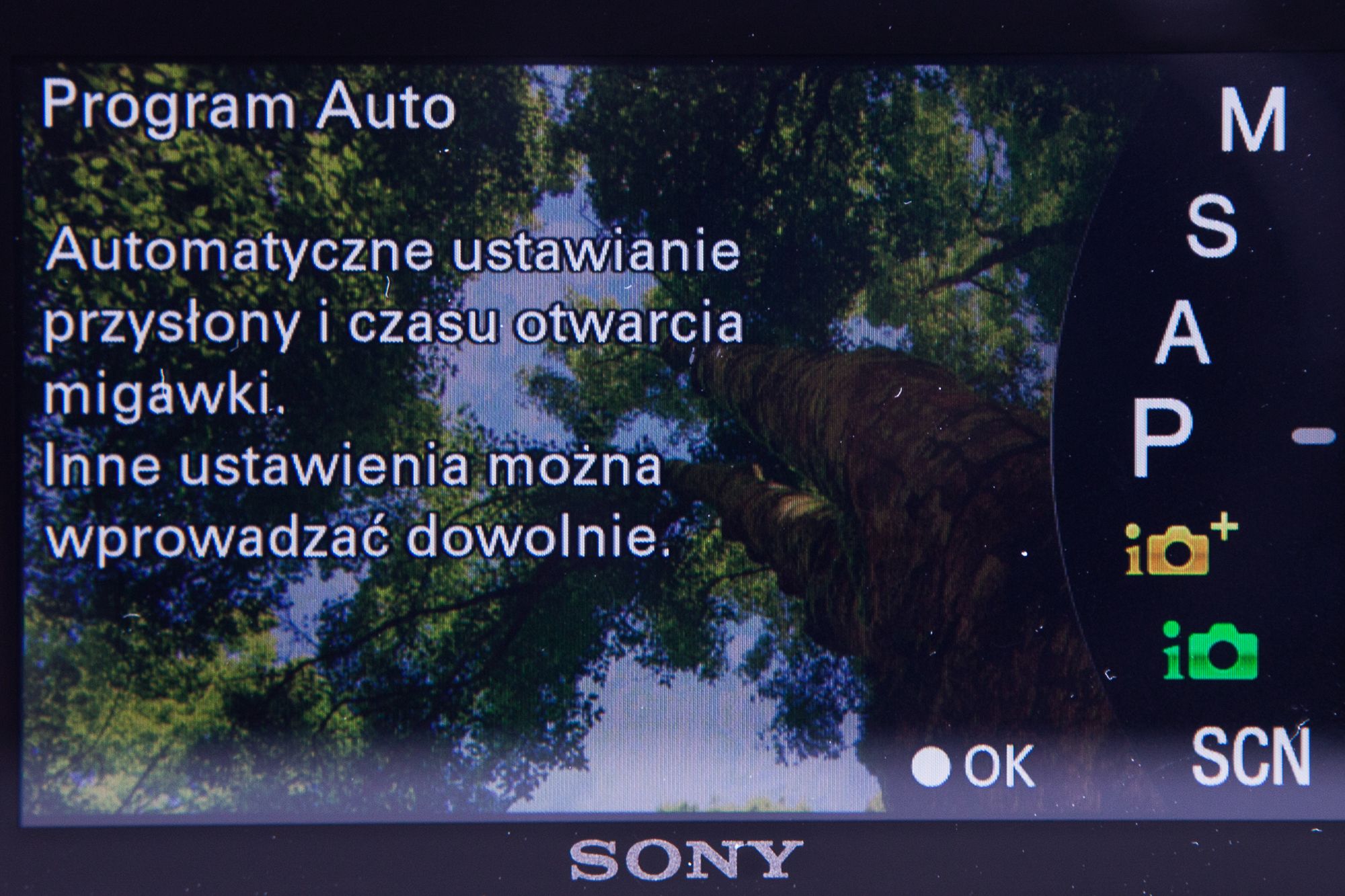 Sony A5100 - mały na zewnątrz, wielki w środku [test] 12