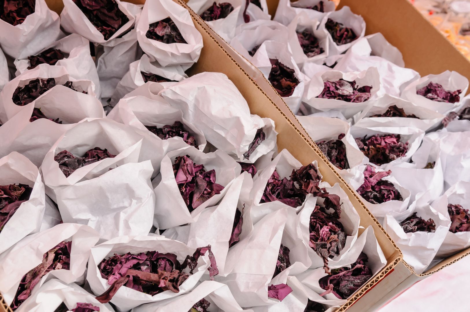 Dulse