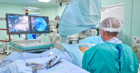 Nerka zaczeka na przeszczep? Przełomowa technologia w transplantologii