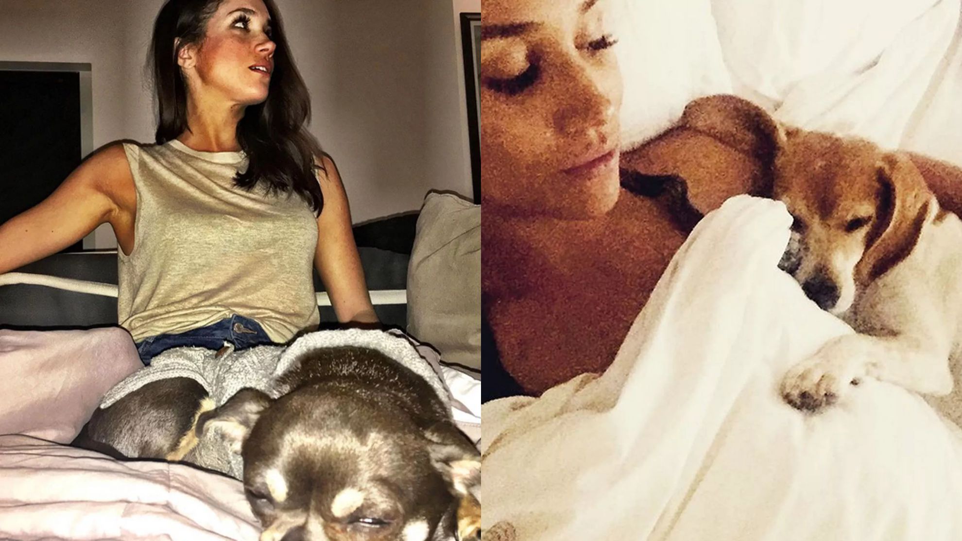 Tak wyglądał profil Meghan Markle na Instagramie