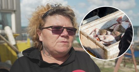 Flądra, dorsz, a może coś innego? Żona rybaka szczerze o rybach z Bałtyku