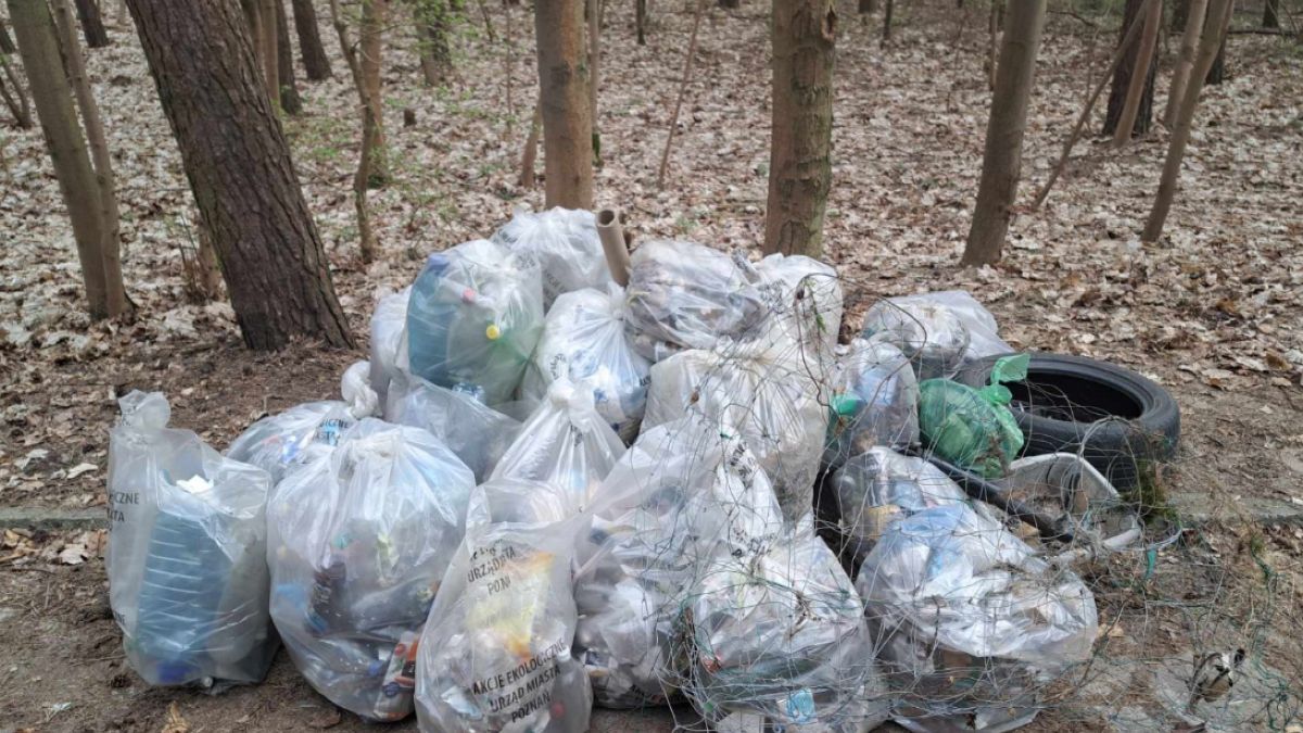 Ludzie wyrzucają zaskakujące przedmioty