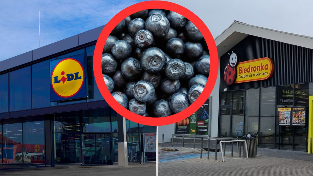 Do polskich sklepów mogły trafić toksyczne borówki?