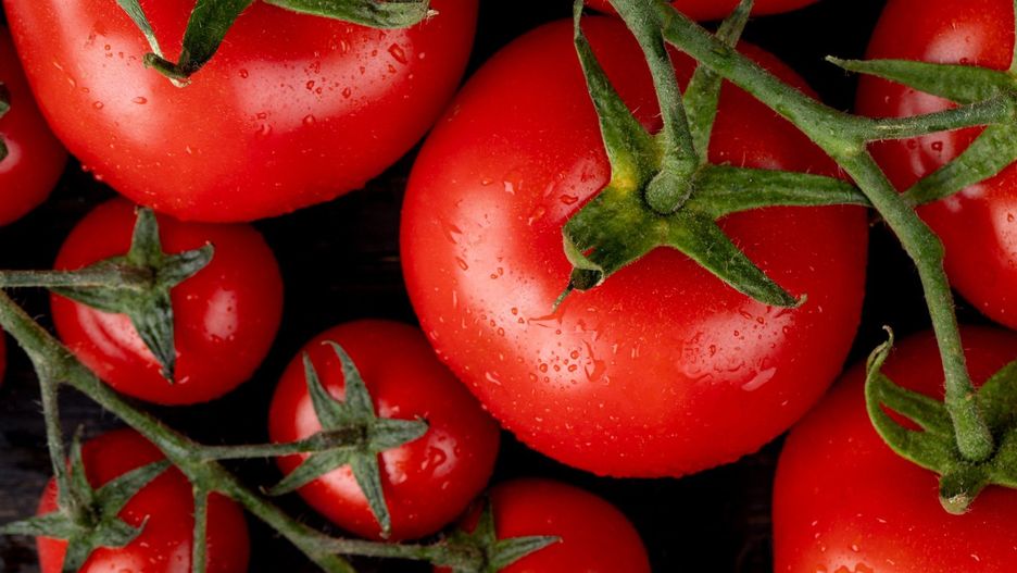 Fundacja Pro-Test przeprowadziła badanie pomidorów z różnych popularnych sieci sklepów, aby sprawdzić czy zawierają one substancje chemiczne.