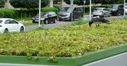 Warszawa: Kolejne przystanki będą miały ogrody na dachach