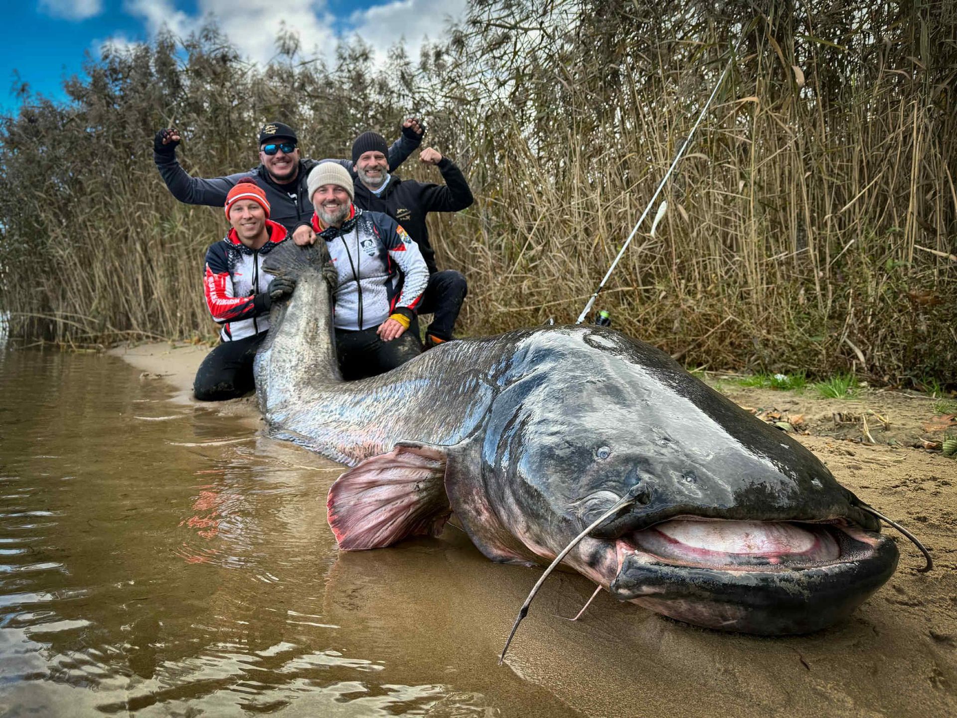 Sum gigant. Mierzył prawie 3 metry długości