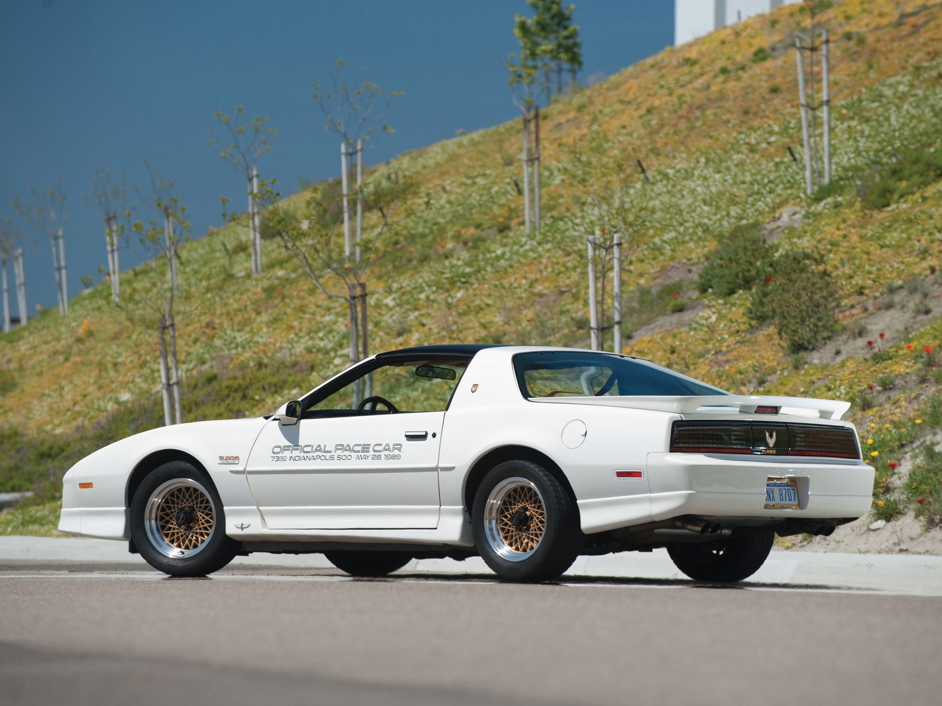 Pontiac Firebird 12
