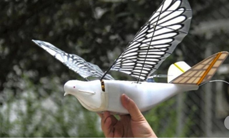 Drony w kształcie gołębi. Chiny w nowy sposób szpiegują swoich obywateli