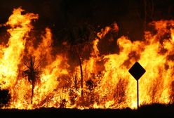 Australia w ogniu. Strażacy pokazali, jak wygląda piekło