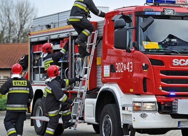 Groźny wypadek na drodze krajowej. Samochód wjechał pod ciągnik, jedna osoba uwięziona