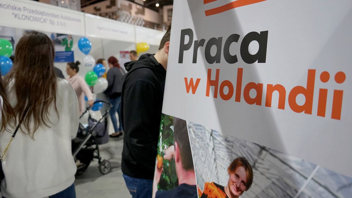 Wielka Brytania i Niemcy to dwa kraje, do których Polacy najczęściej jeżdżą za pracą. Ale popularne są też inne