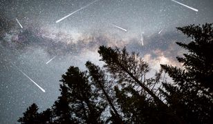 Perseidy 2019 - noc spadających gwiazd. Sprawdź, kiedy będziemy mogli podziwiać to niezwykłe zjawisko astronomiczne i w którą noc zobaczymy najwięcej meteorów