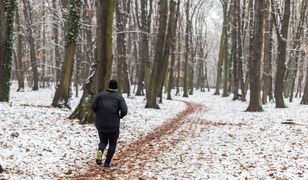 Psy dotkliwie pogryzły biegacza w Łodzi. Zgłosiła się ich właścicielka