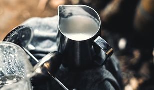 Puszysta pianka do kawy i nie tylko. Jakie spieniacze do mleka wybrać?