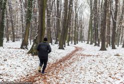 Psy dotkliwie pogryzły biegacza w Łodzi. Zgłosiła się ich właścicielka