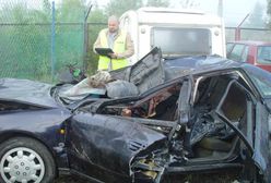 Tragiczne zderzenie z klaczą