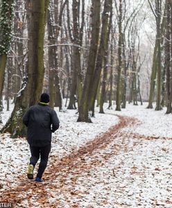 Psy dotkliwie pogryzły biegacza w Łodzi. Zgłosiła się ich właścicielka