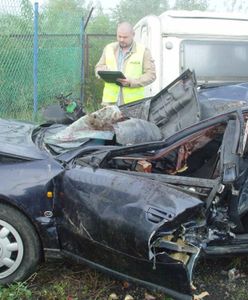 Tragiczne zderzenie z klaczą