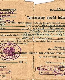 Dowód tożsamości konia