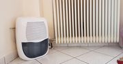 Osuszacze powietrza. Sposób na wilgoć i pleśń w mieszkaniu