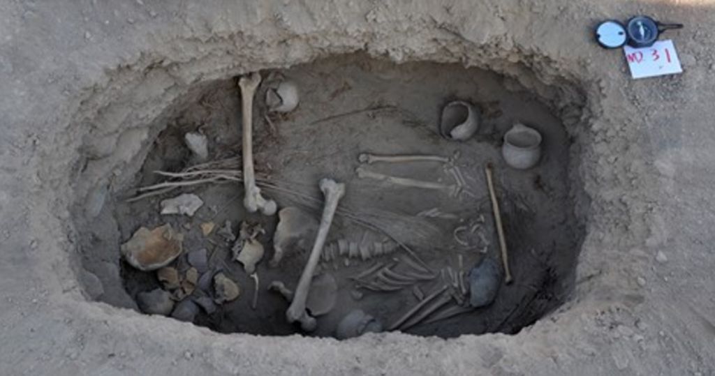 On raczył się marihuaną już 2,5 tysiąca lat temu