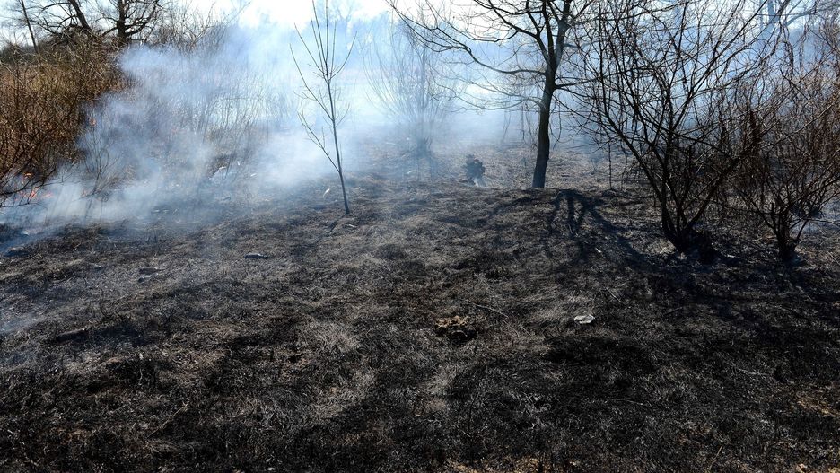 Mężczyźnie grozi kara 7 lat więzienia