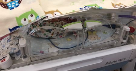 Narodziny sześcioraczków. Kraków wynajął rodzicom mieszkanie