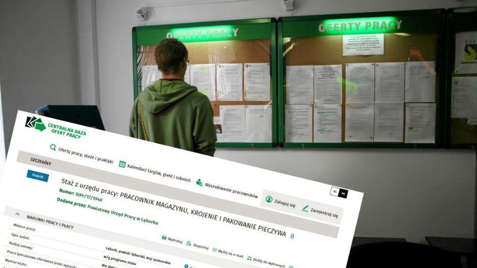 Tygodniowy wymiar wspomnianego stażu to 40 godzin