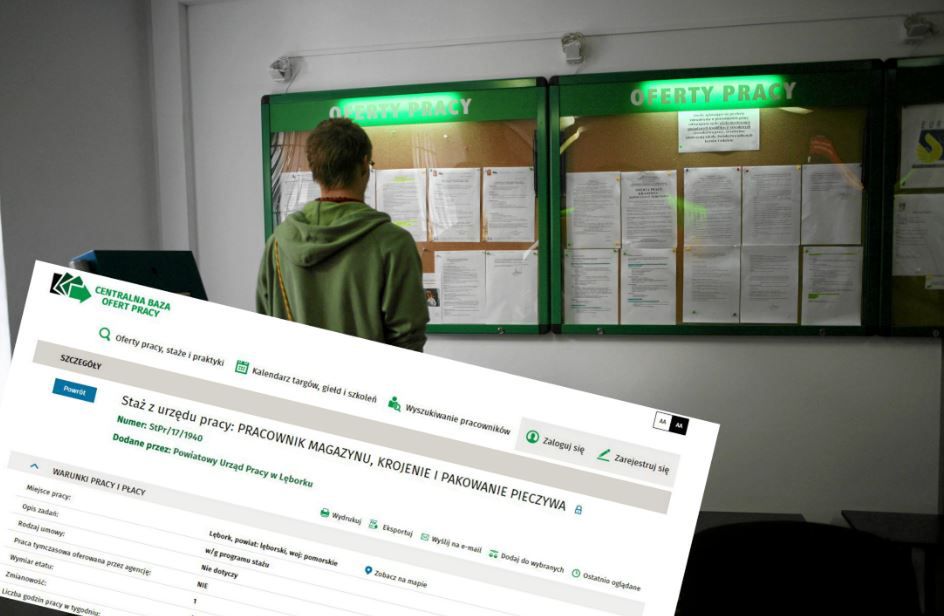 Tygodniowy wymiar wspomnianego stażu to 40 godzin