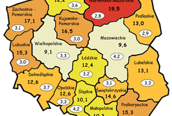 Dlaczego bezrobocie jest takie duże? Kiedy spadnie?