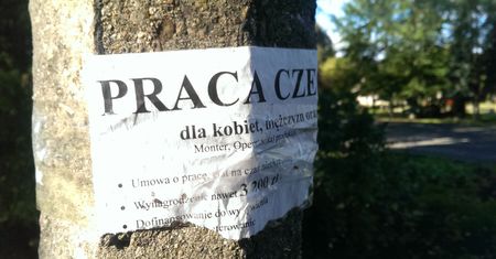 Praca marzeń. Zobacz, jakie niezwykłe oferty są do wzięcia