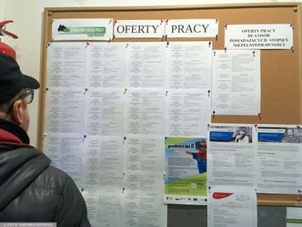 "Money. To się liczy". W 2020 r. duże zmiany na rynku pracy