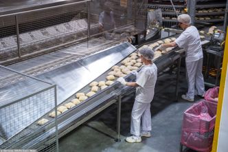 Eurostat: Niewielki procent wakatów w Polsce. Dużo poniżej średniej