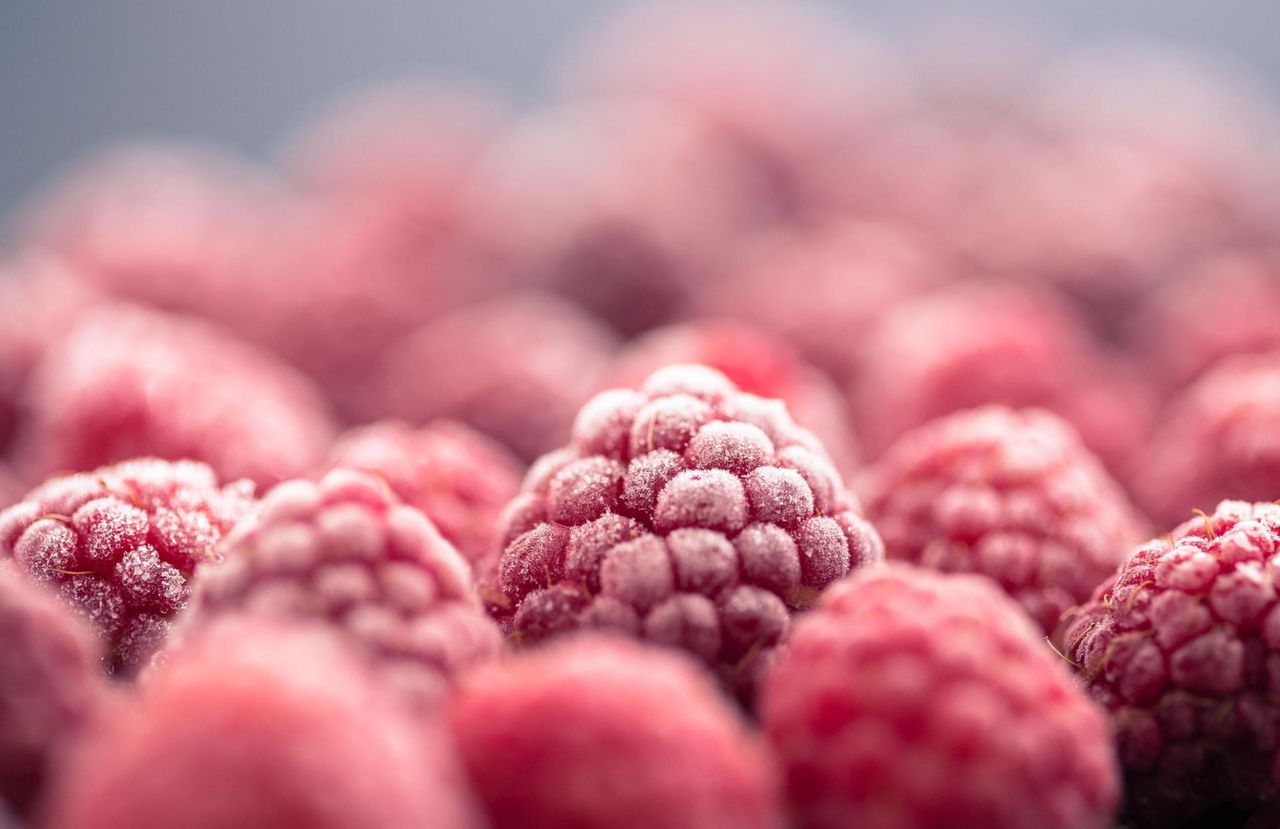 Jak mrozić owoce sezonowe? Fakty i mity