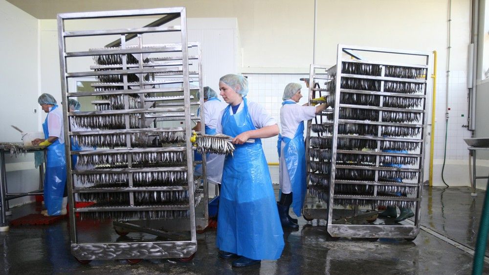 Bez pracy jest w Polsce coraz mniej ludzi