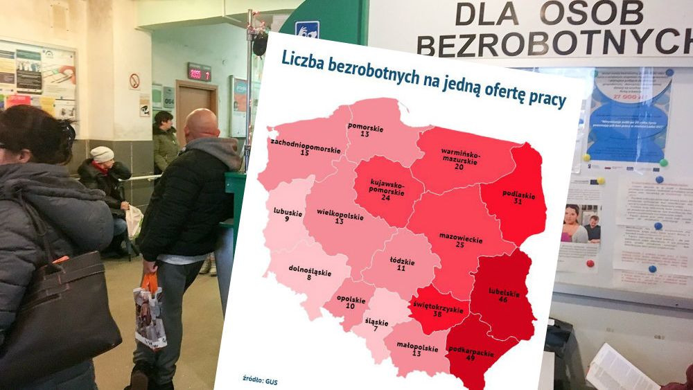 Bezrobocie spada, ale ciągle na jedną ofertę pracy przypada nawet po kilkadziesiąt chętnych.