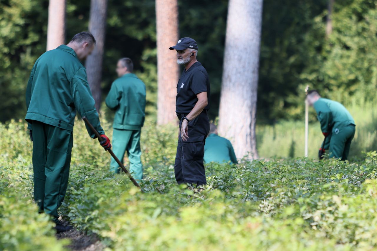 Nieprawidłowości w programie "Praca dla więźniów". Rusza śledztwo