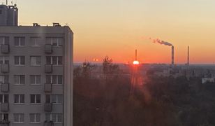 Warszawa. Tu się umiera. Przed katastrofą klimatyczną ostrzega PAN