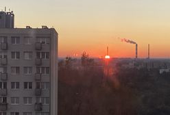 Warszawa. Tu się umiera. Przed katastrofą klimatyczną ostrzega PAN