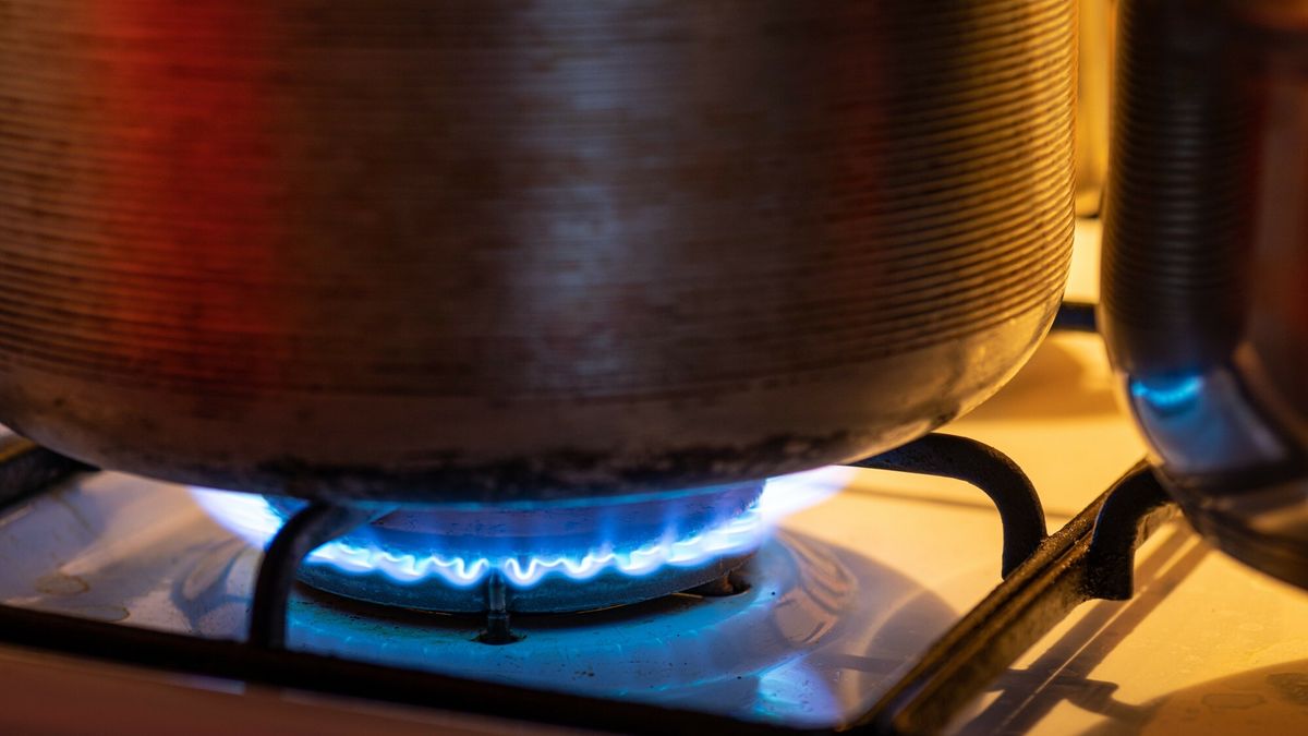 ARKADIUSZ ZIOLEK/East News