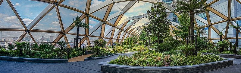 Znamy zwycięzców konkursu International Garden Photographer of the Year 2016 25