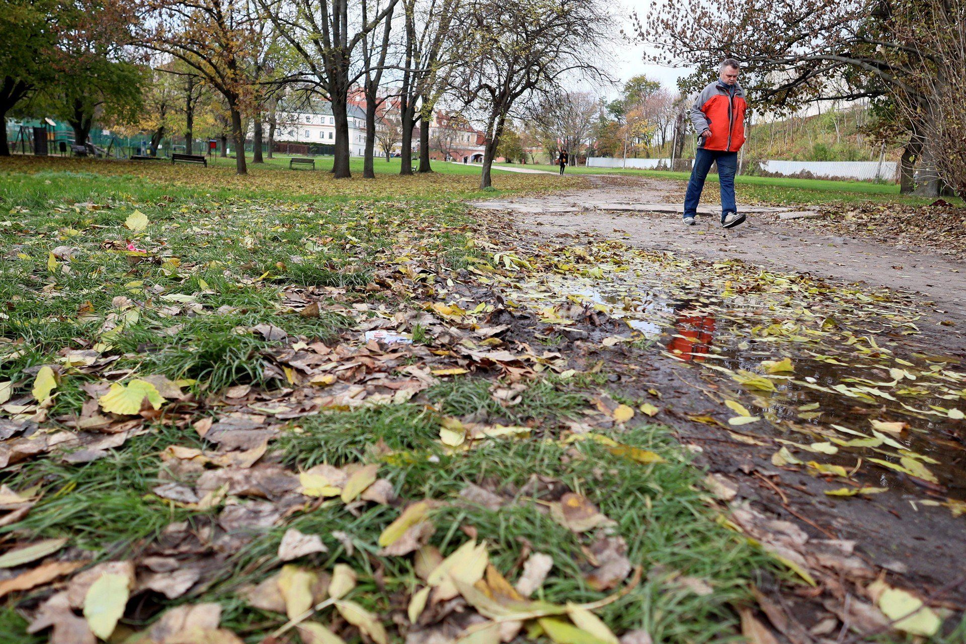 &#34;Zielony azyl&#34; - taki charakter mają mieć w przyszłości teren błoni przy lubelskim zamku. Wykonanie zmian ma zająć prawie dwa lata. Prace nie będą tanie. Trzeba będzie na nie wydać co najmniej 17,2 mln zł.