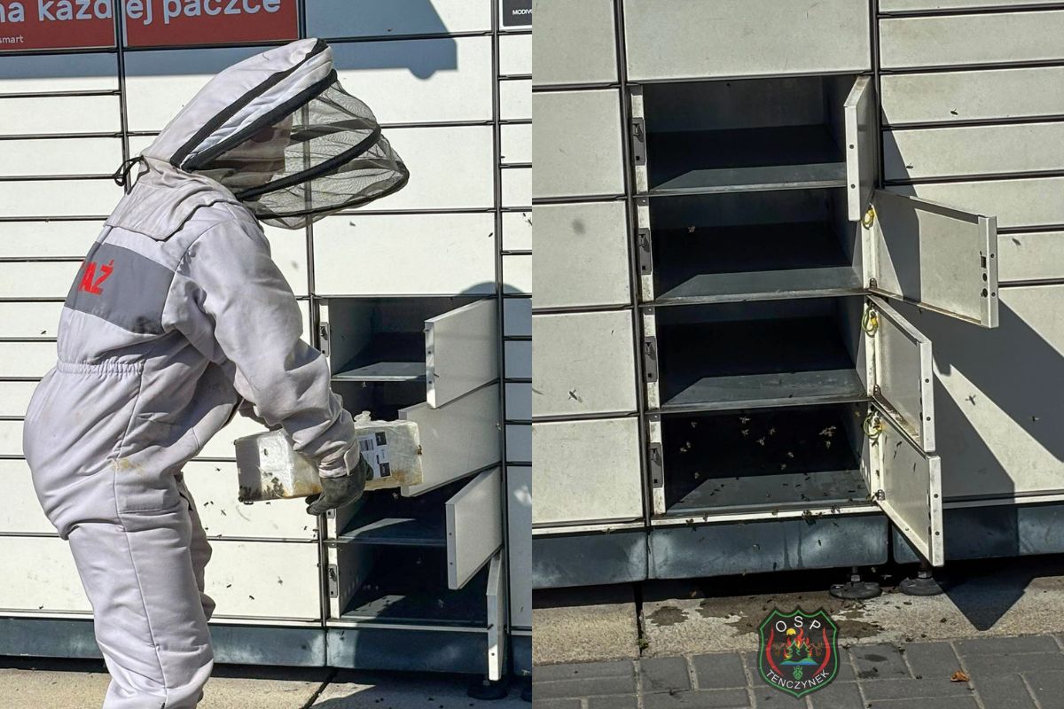Rój pszczół w paczkomacie. Prozaiczny powód skomentowali internauci